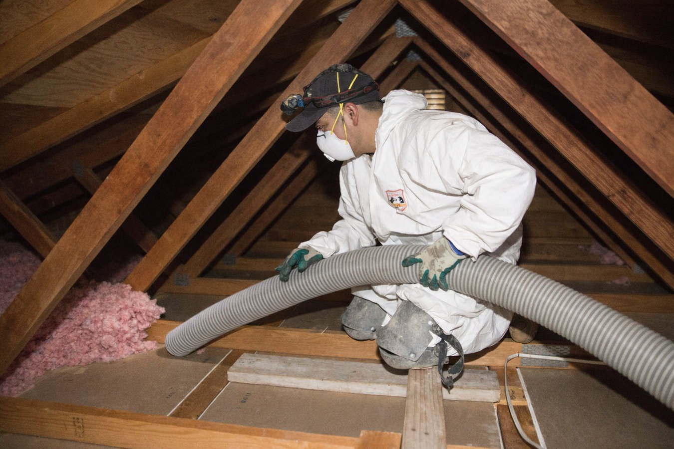 Insulation removal